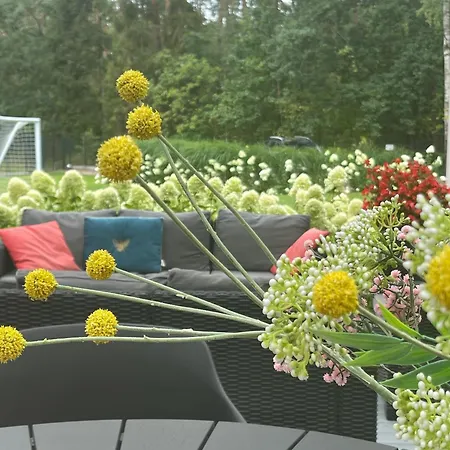 Przy Lesie Nad Jeziorem - Mazury, Mragowo, Szczytno, Summer House *