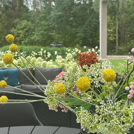 Przy Lesie Nad Jeziorem - Mazury, Mragowo, Szczytno, Summer House Vakantiehuis Orzyny