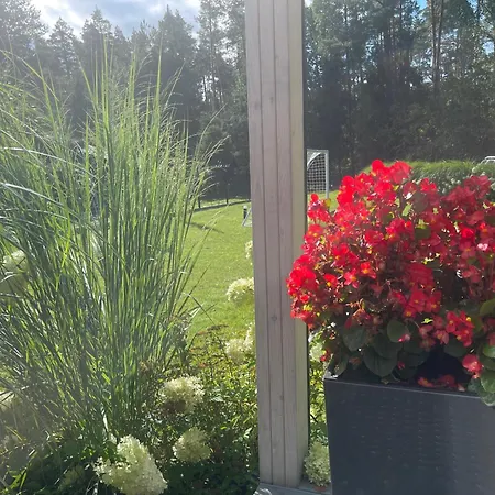 Apartment Summer House