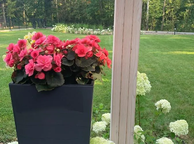 Дом отдыха Summer House *